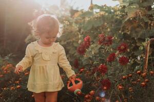 pequeño niña en un amarillo vestir y caucho botas es riego flores en el otoño jardín foto