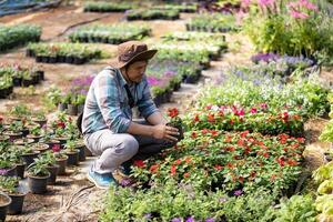 joven asiático jardinero es elegir floración planta desde el local jardín centrar guardería lleno de verano planta para fin de semana jardinería y al aire libre pasatiempo foto