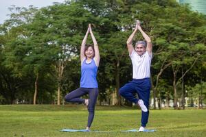 Senior asian man is practicing balance yoga in one leg standing while his daughter is supporting at the public park for elder longevity exercise and outdoor workout photo