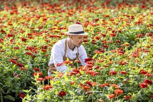 asiático granjero y florista es trabajando en el granja mientras corte zinnia flores utilizando podadera para cortar flor negocio en su granja para agricultura industria foto