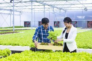 agricultores locales asiáticos que cultivan su propia ensalada de lechuga de roble verde en el invernadero y la venden con su joven socio comercial para el concepto de productos orgánicos locales foto