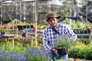 joven asiático jardinero es elegir floración planta desde el local jardín centrar guardería lleno de verano planta para fin de semana jardinería y al aire libre pasatiempo concepto foto