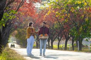 Happy caucasian farmer couple carrying organics homegrown produce harvest with apple, squash and pumpkin while walking along the country road with fall color from maple tree during autumn season photo