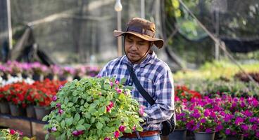 joven asiático jardinero es elegir floración planta desde el local jardín centrar guardería lleno de verano planta para fin de semana jardinería y al aire libre pasatiempo concepto foto