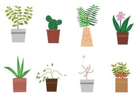 potted plants for backgrounds vector