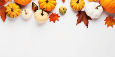 Autumn composition. Dried leaves, pumpkins, flowers, berries on white background. Autumn, fall concept. Flat lay, top view, copy space. High quality photo