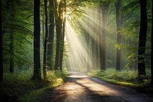 mágico verano paisaje en un soñador bosque, con rayos de luz de sol hermosamente esclarecedor el flota de niebla y pintura maravilloso colores dentro el arboles alto calidad foto