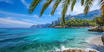 A serene tropical beach with swaying palm trees overlooking the beautiful ocean under a clear sky photo