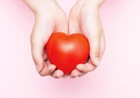 Children's hands holding a red heart as a simbol of care, love, support and protection photo