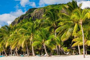 Beautiful view of tropical resort. White sand, coconut palms and blue sky in Mauritius photo