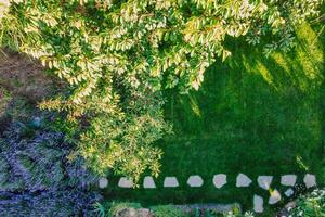 Landscape design with flower beds and path, natural landscaping panorama in home garden. Aerial view photo