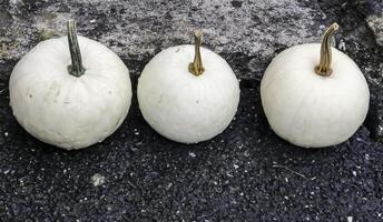 Halloween pumpkin decorations. Pumpkins on a stone near the house photo