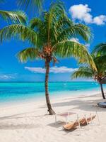 Chairs at palm tree beach. Tropical holiday banner with blue ocean photo