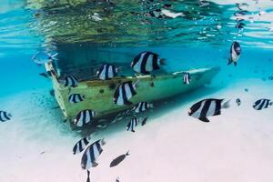 Blue sea with wreck of boat on sandy bottom and school of tropical fish, underwater in Mauritius photo