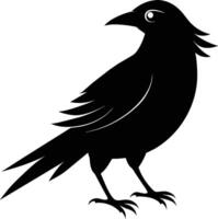 Bird Silhouette Creative Design vector