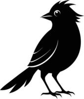Bird Silhouette Creative Design vector