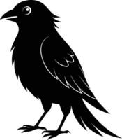 Bird Silhouette Creative Design vector