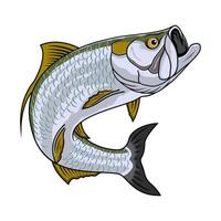 tarpon fishing illustration logo image t shirt vector
