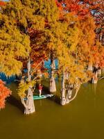 aéreo ver con mujer en paleta tablero a el lago con naranja otoñal arboles en agua foto