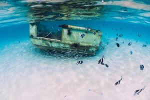 tropical Oceano con ruina de barco en arenoso abajo, submarino foto