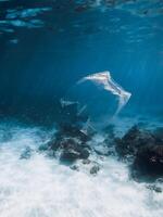 Underwater view in transparent ocean with plastic bag and rubbish, ecological problem photo
