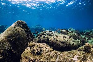 submarino escena con piedras en fondo y tropical peces foto