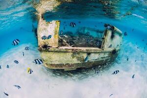 Tropical ocean with wreck of boat on sandy bottom and school of fish, underwater in Mauritius photo
