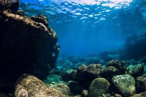 Tranquil underwater scene with copy space. Tropical transparent sea with corals and rocks photo