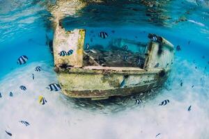 Ocean scene with wreck of boat at sandy bottom and school of fish, underwater in Mauritius photo