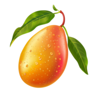 Mango Obst mit Wasser Tropfen auf das Blätter, isoliert png