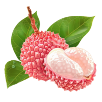 pink lychee fruit with green leaves png