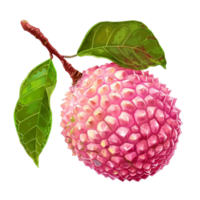 a litchi fruit with green leaves on it png