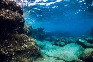 Underwater scene with stone bottom. Tropical transparent ocean photo