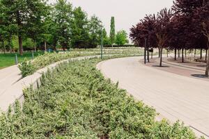 City park with modern design and evergreen plants, urban park photo