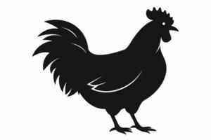 Silhouette of a rooster standing. Black chicken illustration, bird figure, simple animal icon design concept. Black silhouette isolated on white background. vector