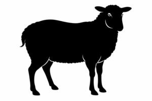 Black silhouette of a sheep standing, livestock animal, farm, agricultural concept, illustration. Black silhouette isolated on white background. vector