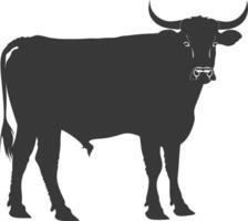 Silhouette bull animal black color only vector