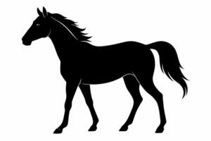 silueta de un Galopando caballo. animal en movimiento. equino belleza concepto. lado de caballo equitación, natural elegancia diseño. negro silueta aislado en blanco antecedentes. vector