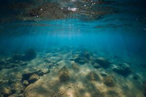 submarino ver con piedras y algas marinas en transparente mar. luz de sol en Oceano foto
