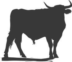 Silhouette bull animal black color only vector