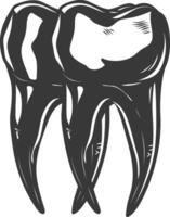 silueta cavidad dientes negro color solamente vector