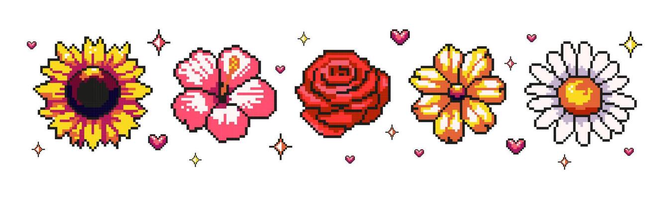 その他 Artbeats Timelapse Flowers 1 Artbeats Timelapse Flowers 1 その他