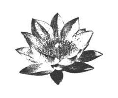 Lotus flower in grunge style with a grainy photocopy effect. An element of halftone strokes in the Gothic style. illustration. vector