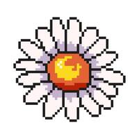 The daisy flower icon in pixel art. The style of a digital vintage game from the 80s and 90s. For templates, design, and mobile games. vector