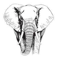 Elephant walking hand drawn sketch vector