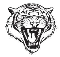 Angry Tiger face growling sketch hand drawn in doodle style vector