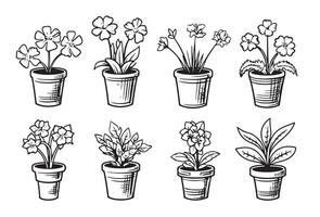 conjunto de negro y blanco ilustraciones de casa plantas vector