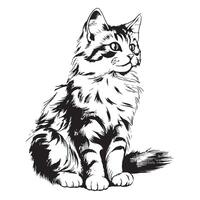 A sketch of a sitting domestic cat vector