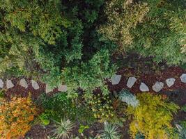 Landscape with flower beds and path, natural landscaping in home garden. Beautiful view of nice landscaped garden in residential backyard. Aerial view photo