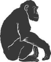 Silhouette Chimpanzee animal black color only vector